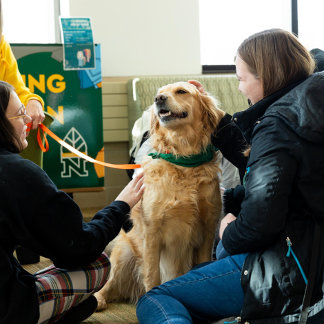 Two people pet a golden retriever wearing a green bandana. A person holding the leash is partially visible.
