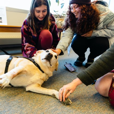 three students petting a dog