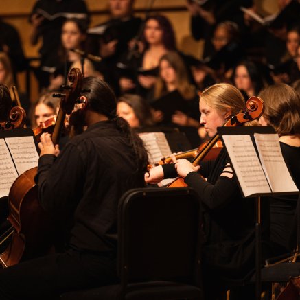 Close-up on orchestra string section
