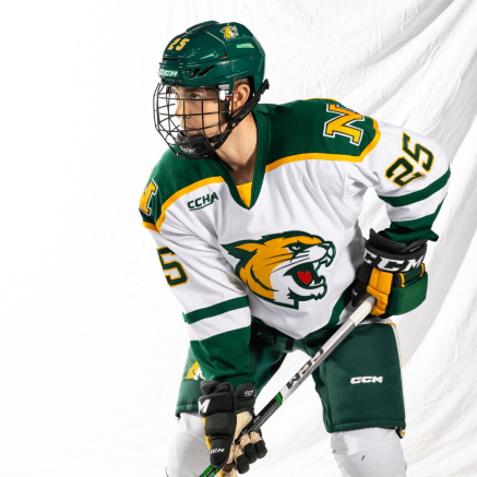 male hockey player