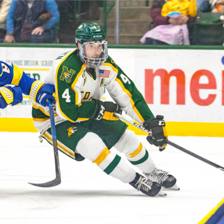 male hockey player