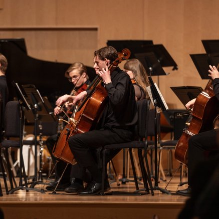 Close-up on orchestra cello/bass section