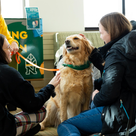 Two people pet a golden retriever wearing a green bandana. A person holding the leash is partially visible.